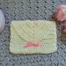 Crochet Dainty Purse Free Pattern